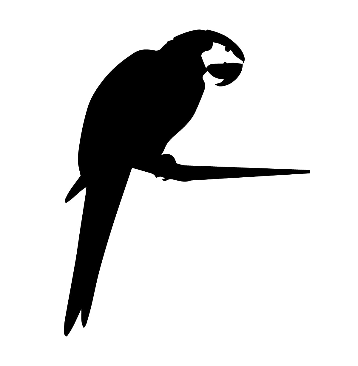 Macaw Silhouette