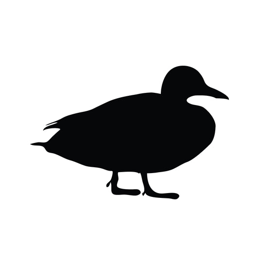 Duck Silhouette