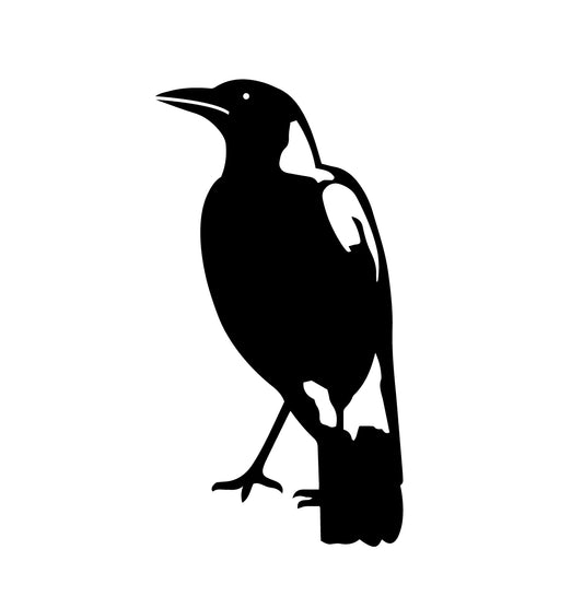 Magpie Silhouette